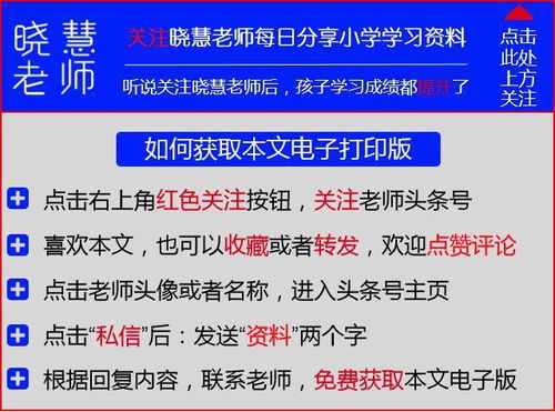 澳门四肖八码期凤凰网|权威分析解释落实_网红版7.728