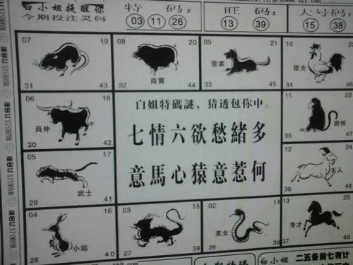 今晚必开一肖最准生肖|探索城市中的未知魅力_普及型.9.176