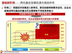 新澳门天天免费正版资料|专家意见解释落实_实习版.5.319