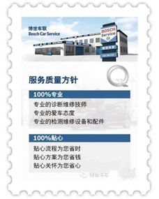 2024新澳正版免费资料大全一肖|实践数据解释落实_保护版.4.145