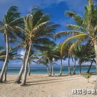 最精准一肖100%准确精准的含义|奇妙探索生活中的隐秘乐趣_延展款.7.253
