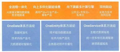 新奥天天免费资料单双的使用方法|最新分析解释落实_智能版.7.181