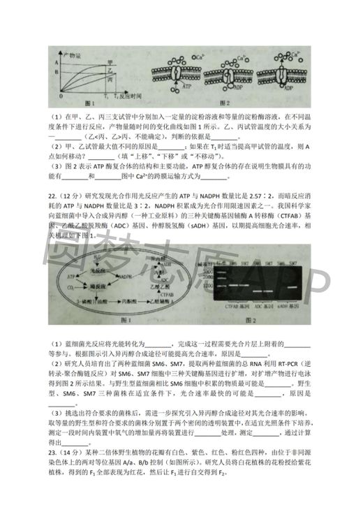 每期必中三中三|最新解答解释落实_挑战型.2.252