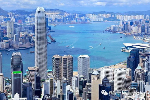 香港特区总站免费资料大全|未来科技探索新视野_iPad.8.528